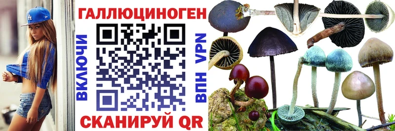 Псилоцибиновые грибы Magic Shrooms  Купить где  Камешково 